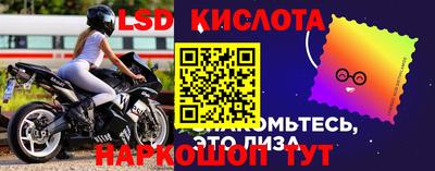 стаф Новодвинск