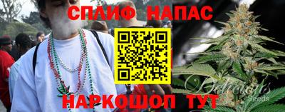 амф Нальчик