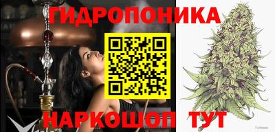 Альфа ПВП Нарткала