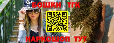 стаф Новодвинск