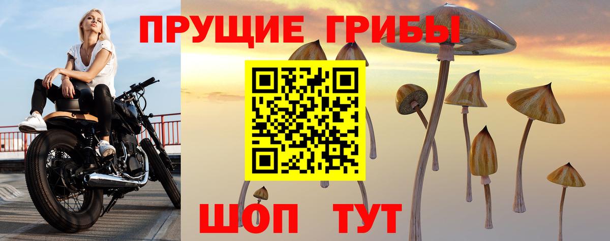 как найти закладки  Псилоцибиновые грибы прущие грибы  Галлюциногенные грибы Psilocybine cubensis  Вход с VPN  Уссурийск 