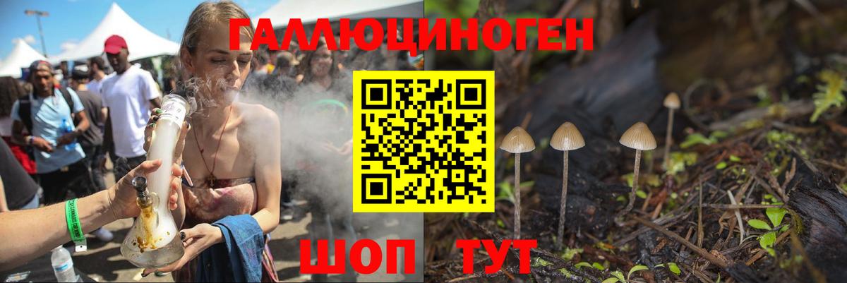 Псилоцибиновые грибы Cubensis Уссурийск
